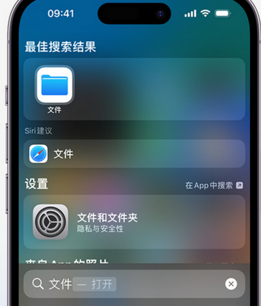 迎江apple维修中心分享iPhone文件应用中存储和找到下载文件