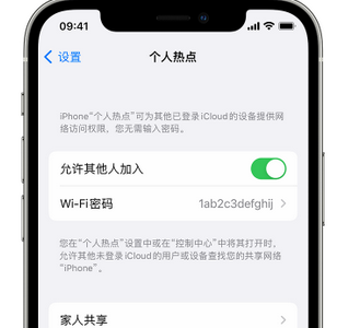 迎江apple服务站点分享iPhone上个人热点丢失了怎么办 