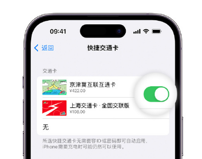 迎江apple维修点分享iPhone上更换Apple Pay快捷交通卡手绘卡面 