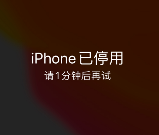 迎江苹果手机维修分享:iPhone 显示“不可用”或“已停用”怎么办？还能保留数据吗？ 