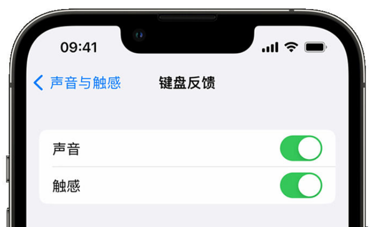 迎江苹果手机维修分享iPhone 14触感键盘使用方法 