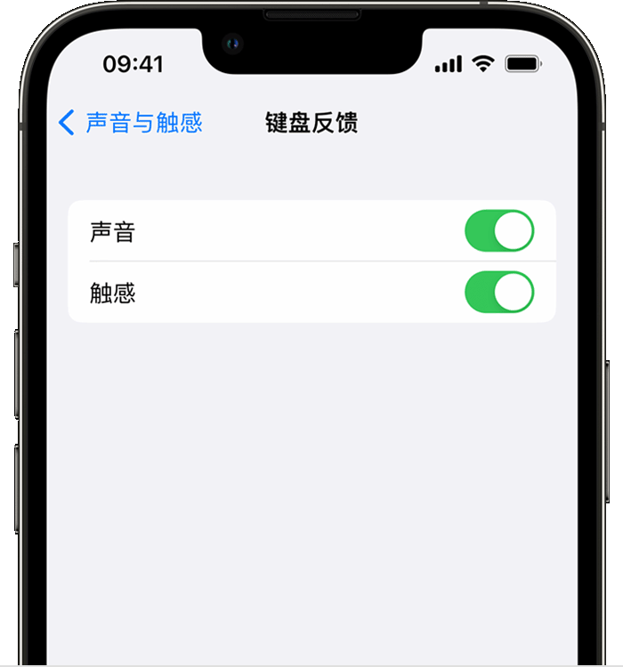 迎江苹果14维修店分享如何在 iPhone 14 机型中使用触感键盘 