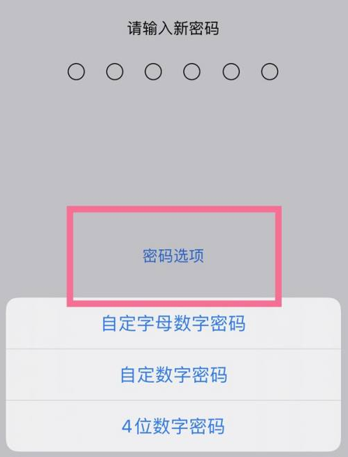 迎江苹果14维修分享iPhone 14plus设置密码的方法 