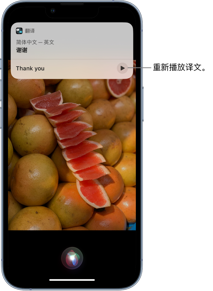 迎江苹果14维修分享 iPhone 14 机型中使用 Siri：了解 Siri 能帮你做什么 