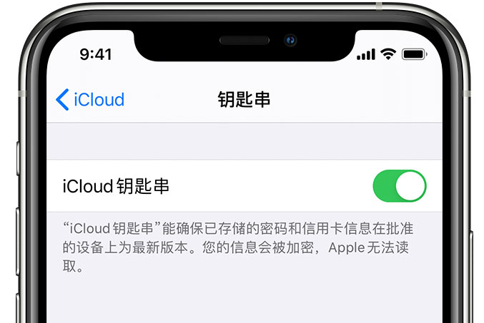 迎江苹果手机维修分享在 iPhone 上开启 iCloud 钥匙串之后会储存哪些信息 