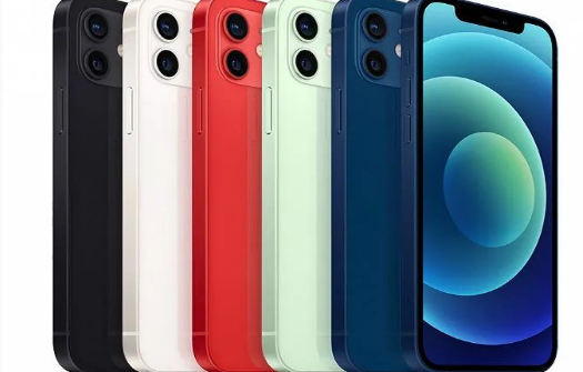 迎江苹果维修点分享iPhone12 Pro Max进水维修 